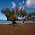 Mayotte-2011-016