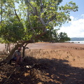 Mayotte-2011-020
