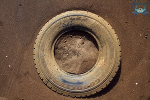 Mayotte-2011-091