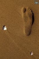 Mayotte-2011-093