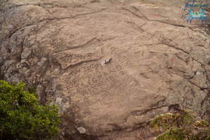 Mayotte-2011-119