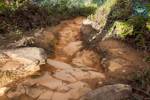 Mayotte-2011-134