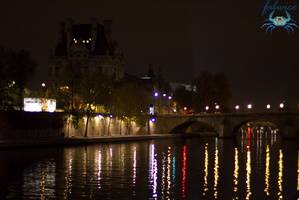 Bord_de_seine-2011-007