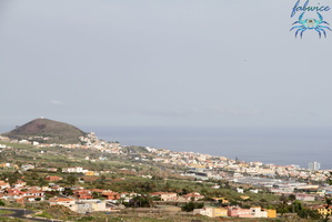 Santa_Cruz_De_Tenerife-011